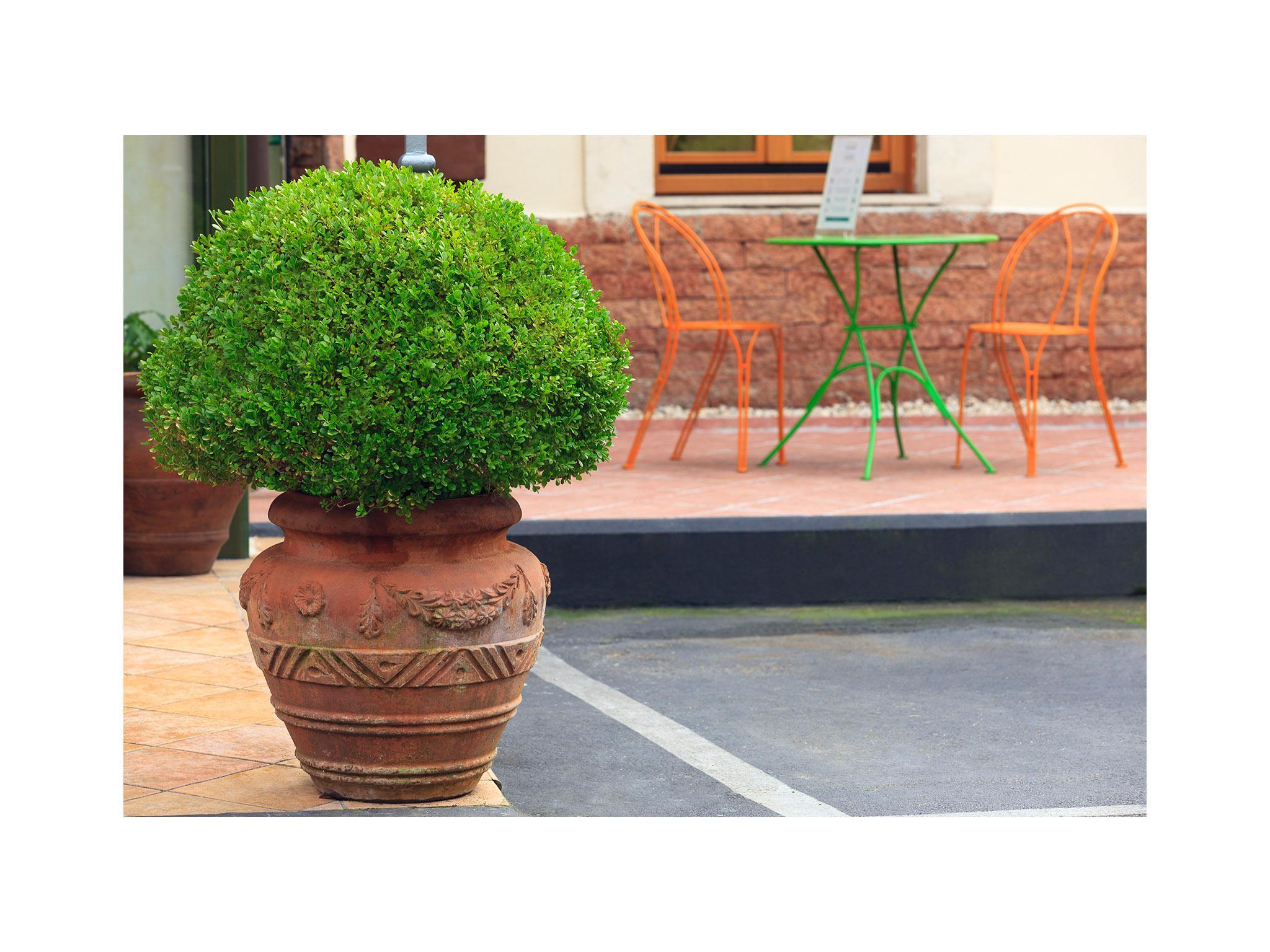 Eurogarden Hotel Roma Esterno foto
